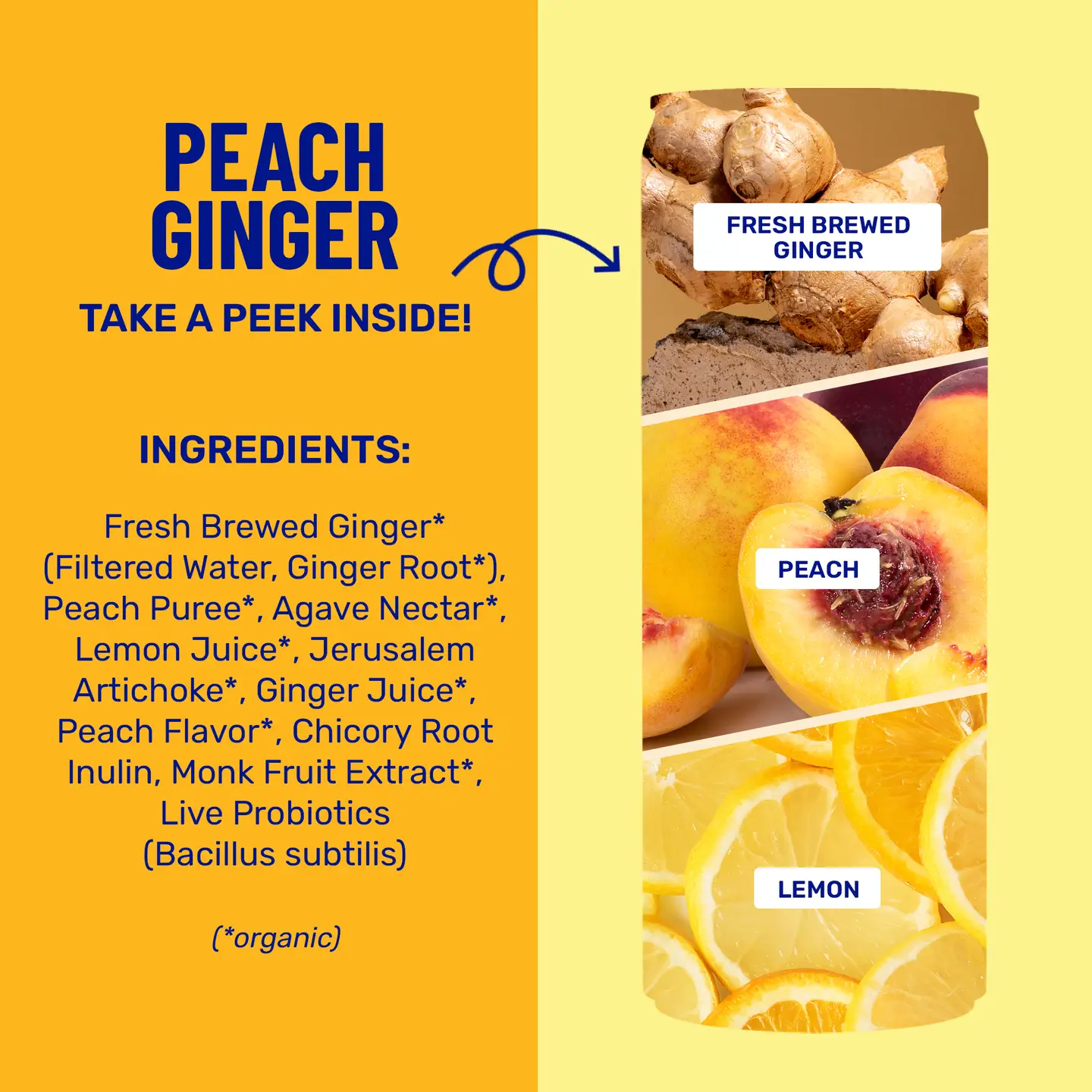 Peach Ginger Sparkling Prebiotic + Probiotic Drink